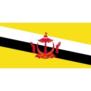 Brunei Darussalam - 10GB - 1 Month